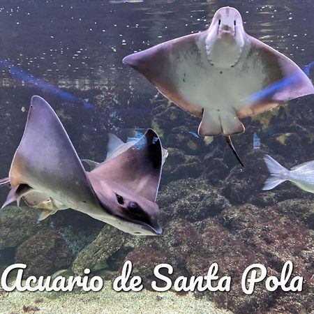 Best Holiday サンタ・ポラ エクステリア 写真